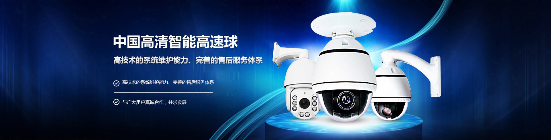 成都威安网络系统工程有限公司
